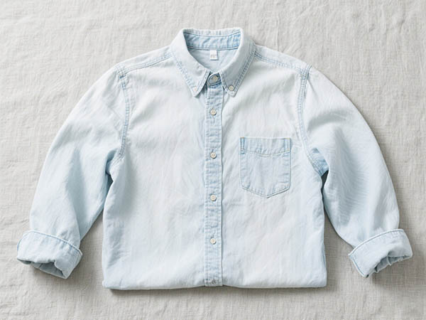 classic denim shirt
